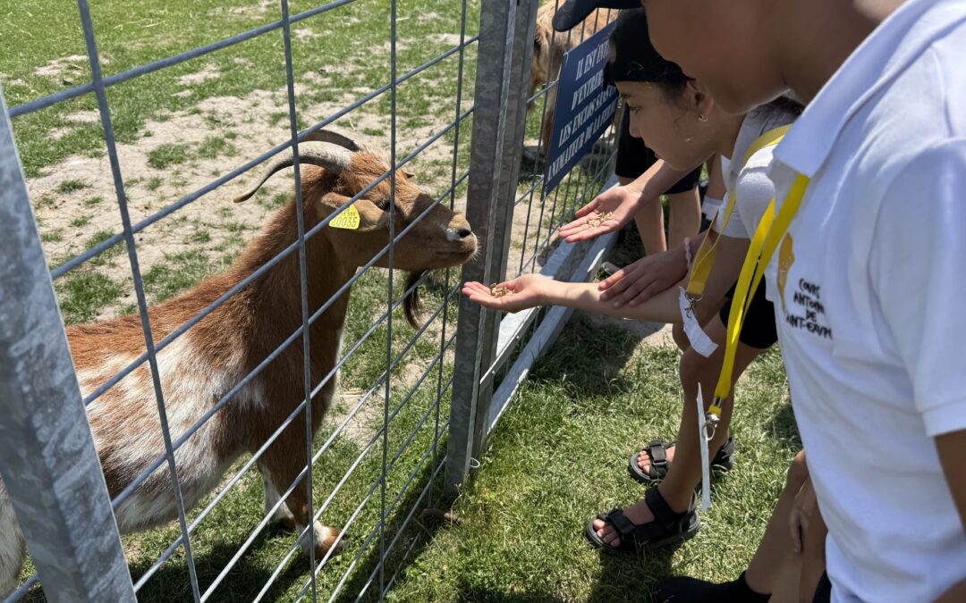 Une journée au vert à la Ferme de Gally pour les élèves du Cours Saint-Exupéry !
